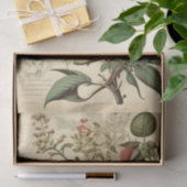 スカルとボタビクトリアンーデクページ 薄葉紙 (ギフト)