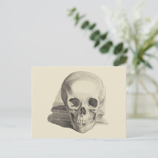 スカルと本 ポストカード (スタンド正面)