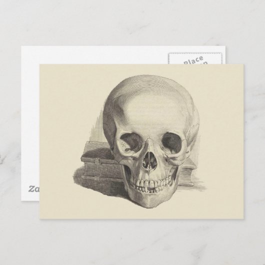 スカルと本 ポストカード (正面/裏面)