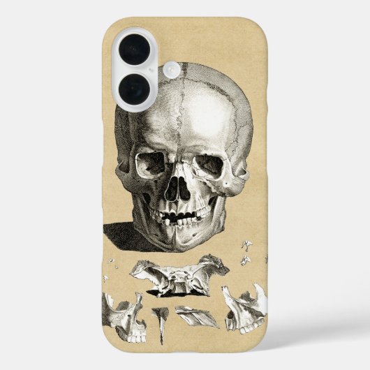 スカルと骨の構造 Case-Mate iPhoneケース (裏面)