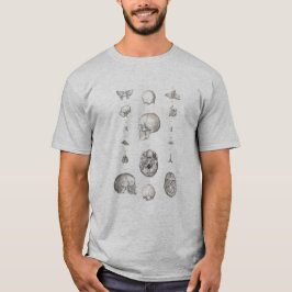 スカルと骨の解剖学Tシャツ Tシャツ