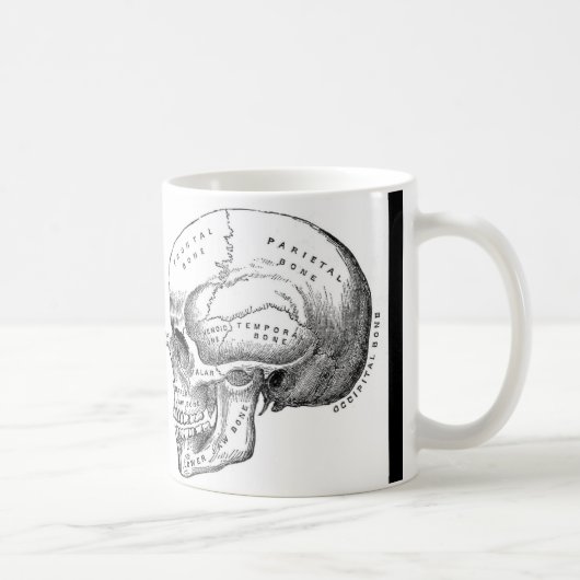 スカルのコーヒーか茶マグ コーヒーマグカップ (右)