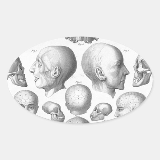 スカルのタイプ 楕円形シール (正面)