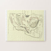 スカルのヴィンテージの解剖学のAnterolateralの地域 ジグソーパズル (横)