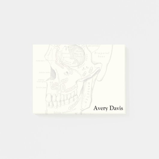 スカルのヴィンテージの解剖学のAnterolateralの地域 ポストイット (正面)