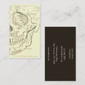 スカルのヴィンテージの解剖学のAnterolateralの地域 名刺 (正面/裏面)