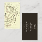 スカルのヴィンテージの解剖学のAnterolateralの地域 名刺 (正面/裏面)