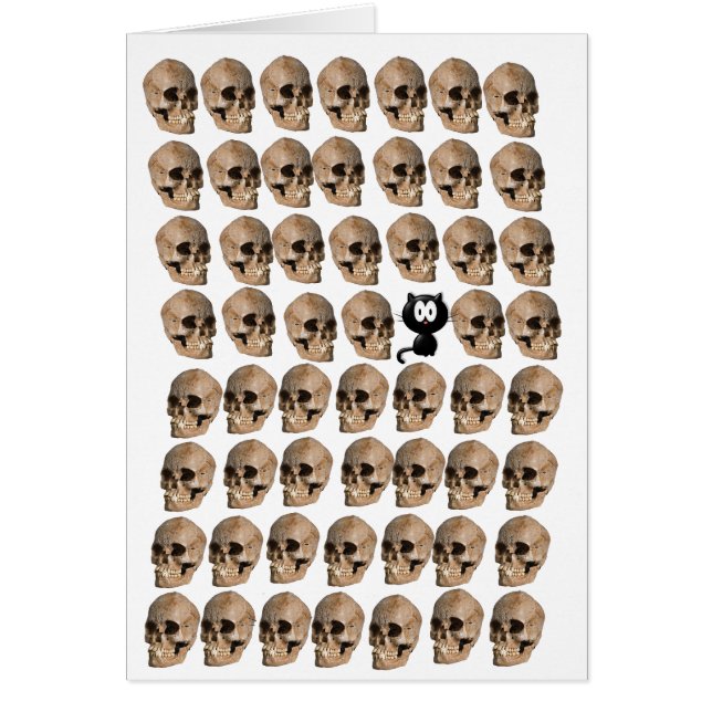 スカルの中の猫 (正面)