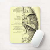 スカルの内部の表面のヴィンテージの解剖学|の基盤 マウスパッド (マウス)