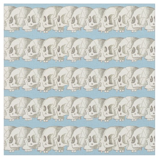 スカルの列 ファブリック (クローズアップ)