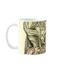 スカルの外面のヴィンテージの解剖学の基盤