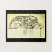 スカルの外面のヴィンテージの解剖学の基盤 ジグソーパズル (横)