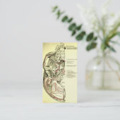 スカルの外面のヴィンテージの解剖学の基盤 名刺 (スタンド正面)