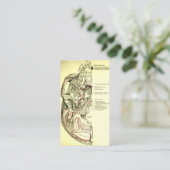 スカルの外面のヴィンテージの解剖学の基盤 名刺 (スタンド正面)