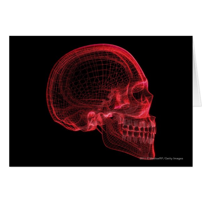 スカルの赤いwireframe (正面横)