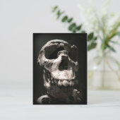 スカルはがき ポストカード (スタンド正面)