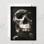 スカルはがき ポストカード (正面/裏面)