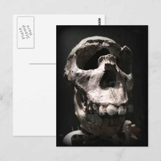 スカルはがき ポストカード (正面/裏面)
