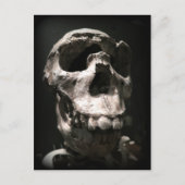 スカルはがき ポストカード (正面)