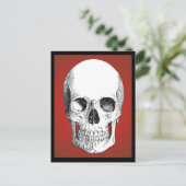 スカルはがき（赤） ポストカード (スタンド正面)