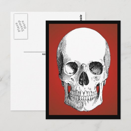 スカルはがき(赤) ポストカード (正面/裏面)