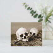 スカルはプヌク諸島の海岸、ベーリング海 ポストカード (スタンド正面)