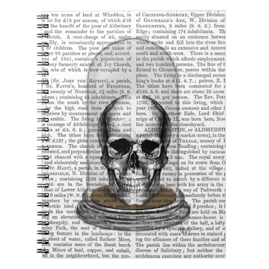 スカルインベルジャー2 ノートブック (正面)