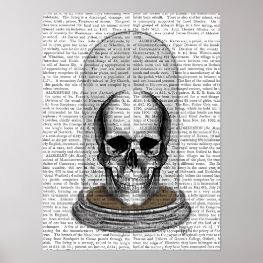 スカルインベルジャー ポスター (正面)