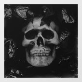 スカルウィンドウの固定 ウィンドウサイン (シート)