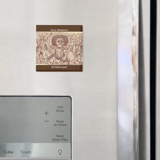 スカルオアハカ、ラカラヴェラオアクアキーニャ マグネット (インサイチュ (冷蔵庫))