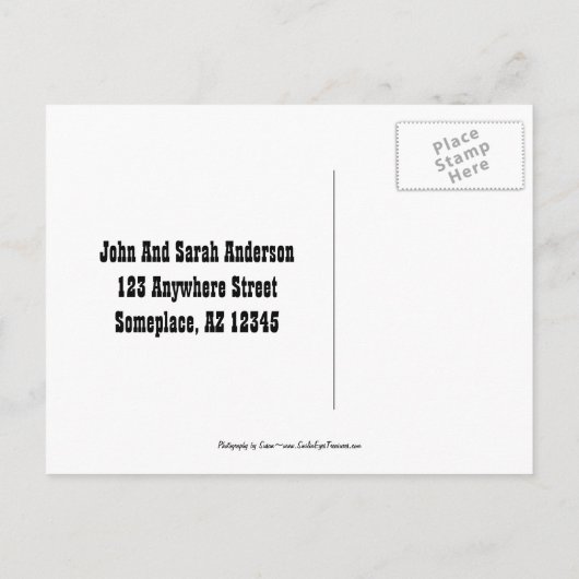 スカルプトデイジー新しいアドレス移動はがき 案内ポストカード (裏面)