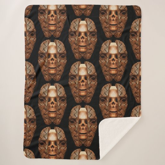 スカル内：内部の複雑さを明らかにする シェルパブランケット (正面)