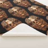 スカル内：内部の複雑さを明らかにする シェルパブランケット (3/4)