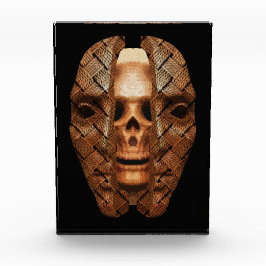 スカル内：内部の複雑さを明らかにする フォトブロック