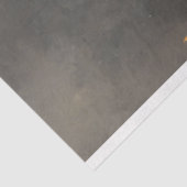 スカル分離で暗いアカデミズムの静止生活 薄葉紙 (詳細)