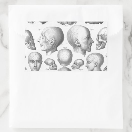 スカル型 長方形シール (バッグ)