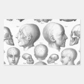 スカル型 長方形シール (正面)