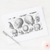 スカル型 長方形シール (封筒)