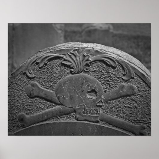 スカル&クロスボーン ポスター (正面)