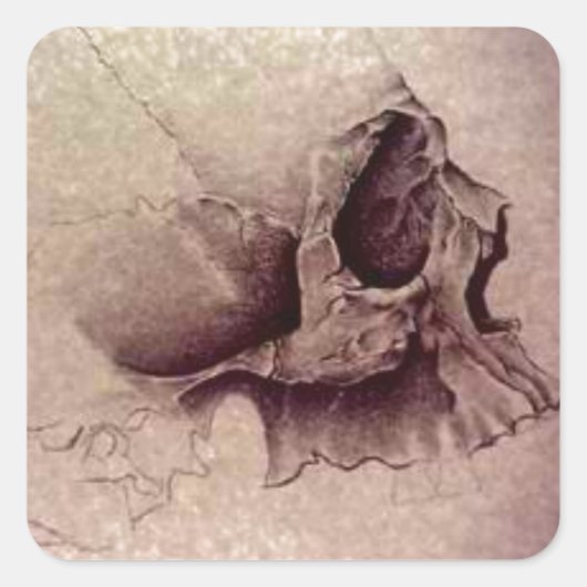 スカル スクエアシール (正面)