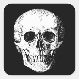 スカル スクエアシール