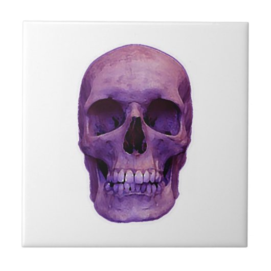 スカル タイル (正面)