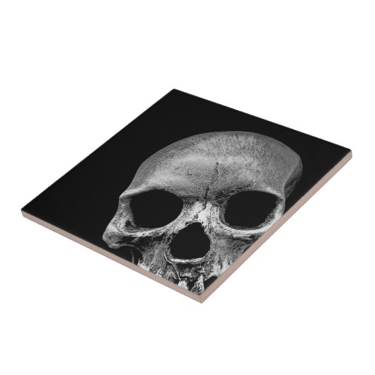 スカル タイル (側面)