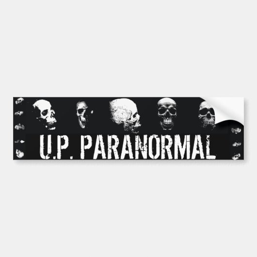 スカル-バンパーステッカー バンパーステッカー (正面)