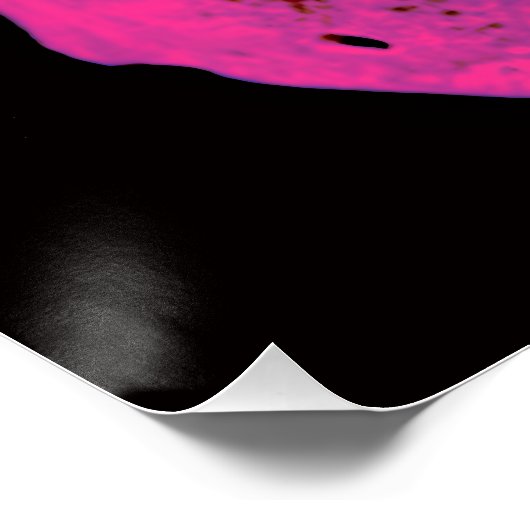 スカル ポスター (コーナー)