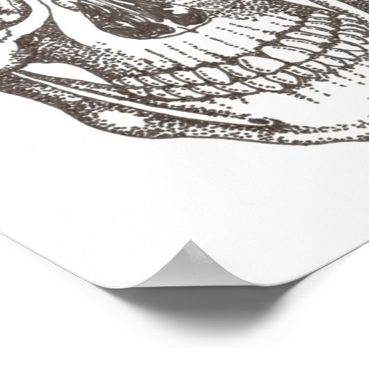 スカル ポスター (角)