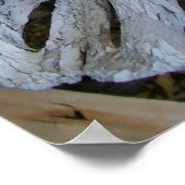 スカル ポスター (角)