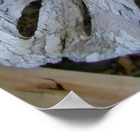 スカル ポスター (角)