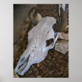 スカル ポスター (正面)