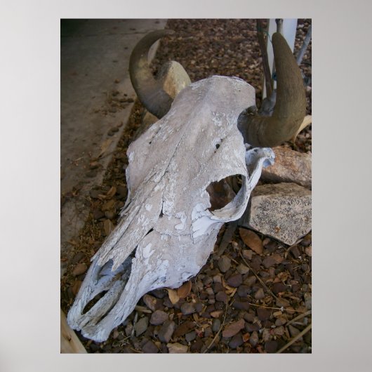 スカル ポスター (正面)